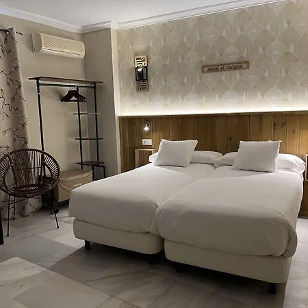 Alameda Boutique تريفة