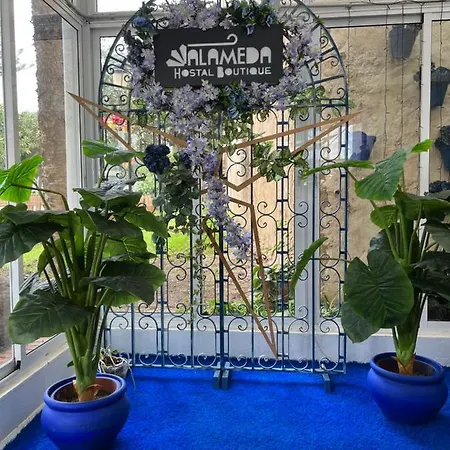 Guest house Alameda Boutique Tarifa